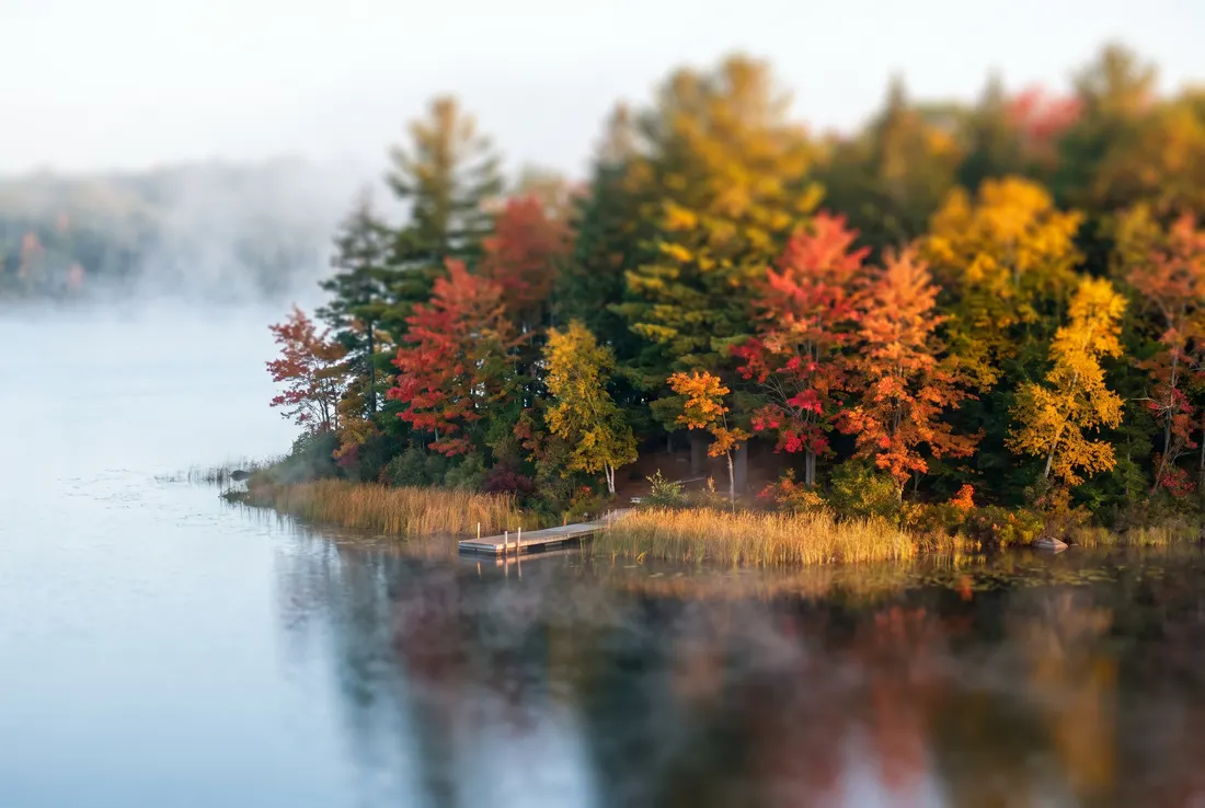 Wooded lakeshore in autumn with reeds and a small dock